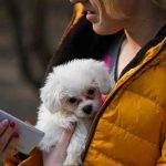 Tienda de animales online